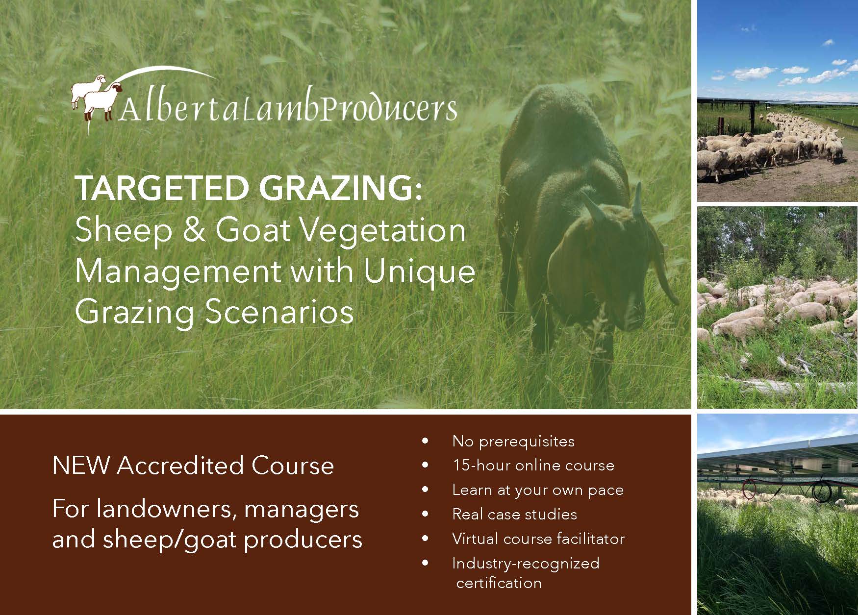 24 1102 Research SheepGoat Postcard Page 1