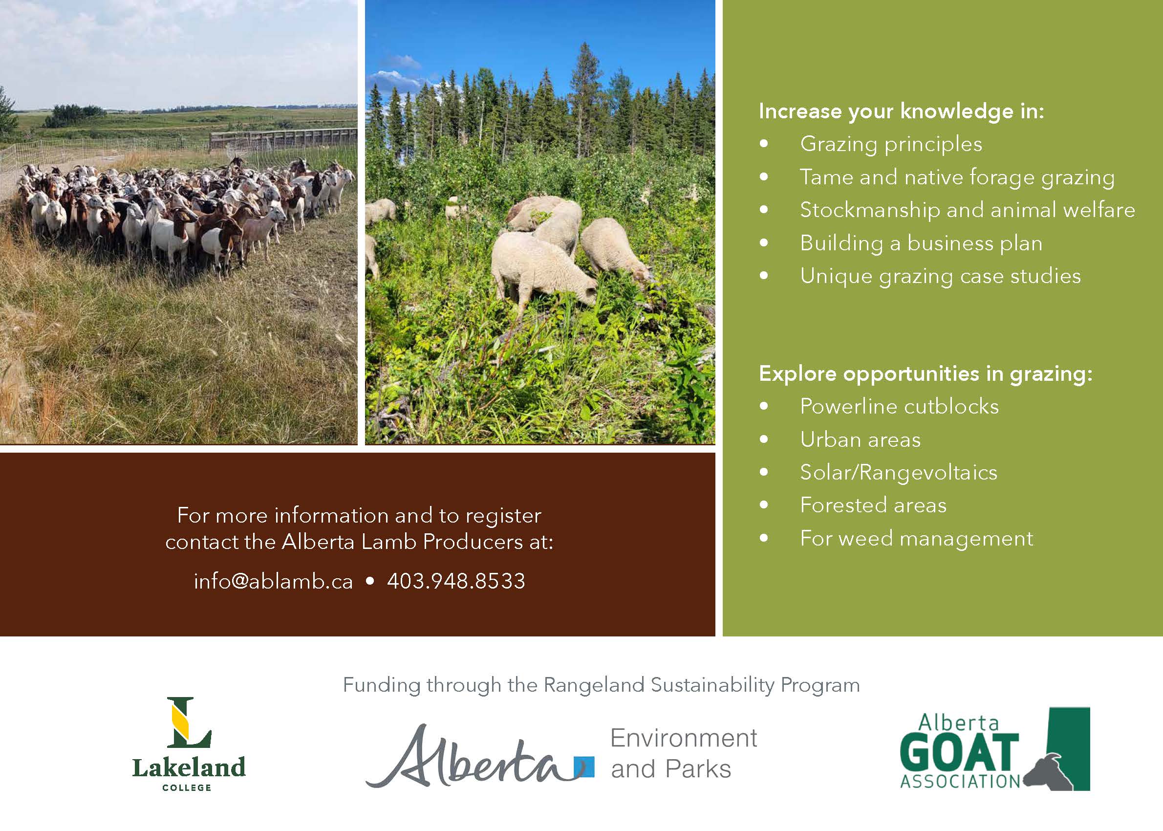 24 1102 Research SheepGoat Postcard Page 2