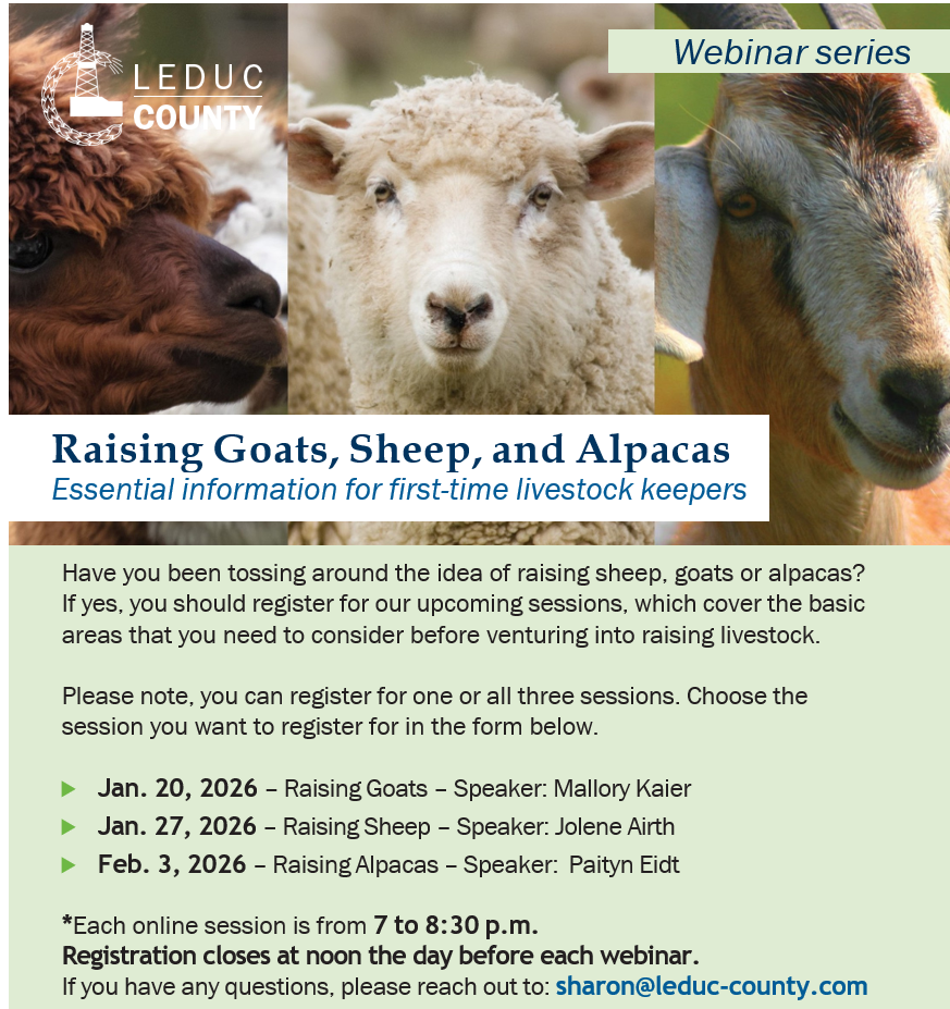 Screenshot 2025 12 17 102814