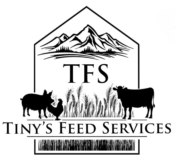 TFS Logo